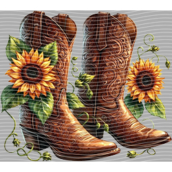 Country music-CU 1466